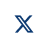 X Icon
